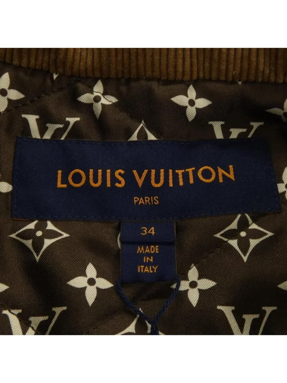 Louis Vuitton brand louis